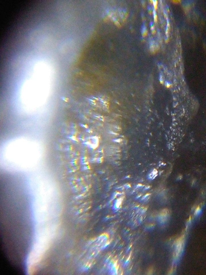 人类的起源真的和外星人有关的真实影像267 / 作者:yuanxukun / 帖子ID:29202