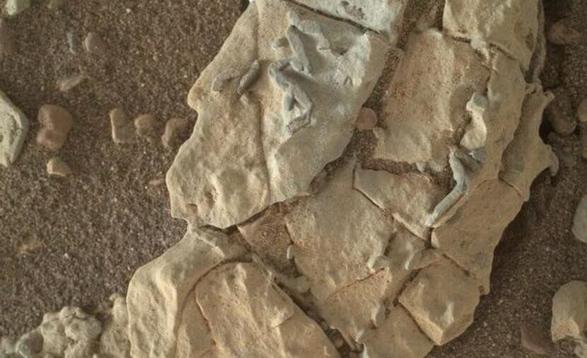 火星惊现外星文明化石？科学家指责NASA隐瞒“外星文明证据”763 / 作者:wenhongchen / 帖子ID:29243