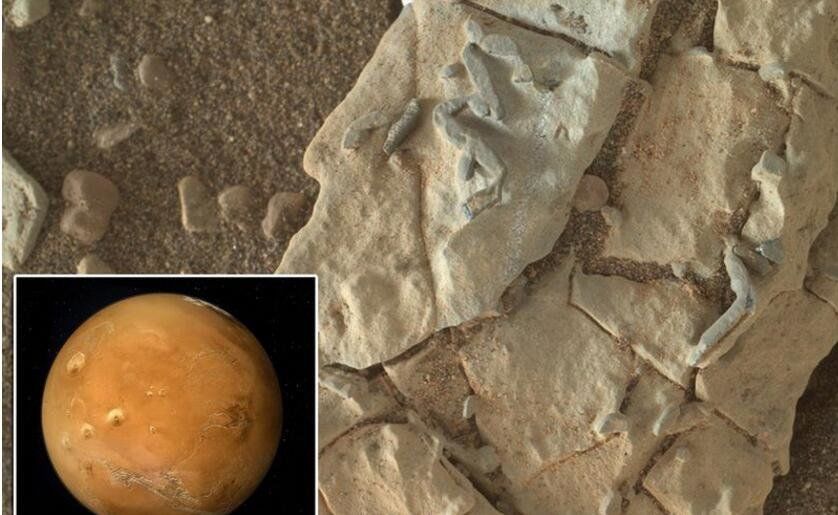火星惊现外星文明化石？科学家指责NASA隐瞒“外星文明证据”914 / 作者:wenhongchen / 帖子ID:29243