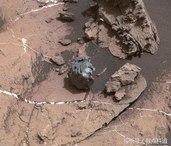疑似地外生命证据 火星照片 猎奇系列汇编合集（一）357 / 作者:晓美炎％阎魔爱 / 帖子ID:29297