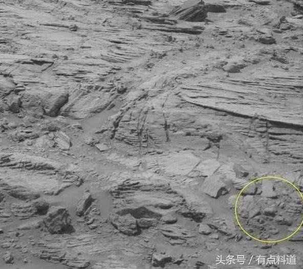 疑似地外生命证据 火星照片 猎奇系列汇编合集（一）29 / 作者:晓美炎％阎魔爱 / 帖子ID:29297