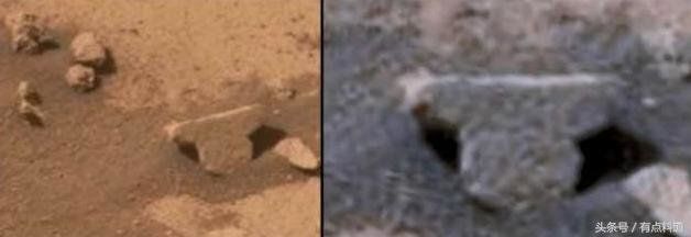 疑似地外生命证据 火星照片 猎奇系列汇编合集（一）999 / 作者:晓美炎％阎魔爱 / 帖子ID:29297
