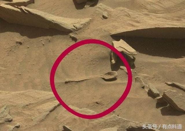 疑似地外生命证据 火星照片 猎奇系列汇编合集（一）530 / 作者:晓美炎％阎魔爱 / 帖子ID:29297