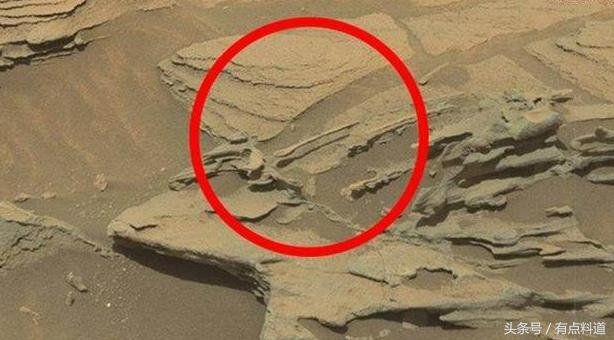 疑似地外生命证据 火星照片 猎奇系列汇编合集（一）595 / 作者:晓美炎％阎魔爱 / 帖子ID:29297