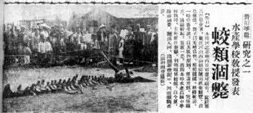 中国400年来至今未解的神秘事件90 / 作者:艾茵 / 帖子ID:29400