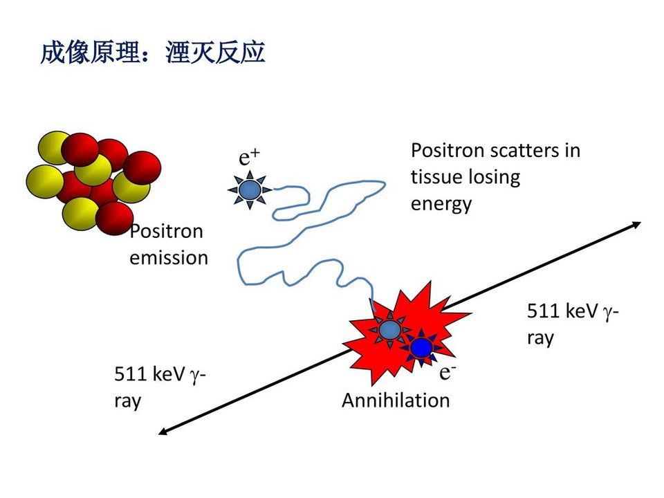 湮灭反应，湮灭是什么意思725 / 作者:伤我心太深 / 帖子ID:29593