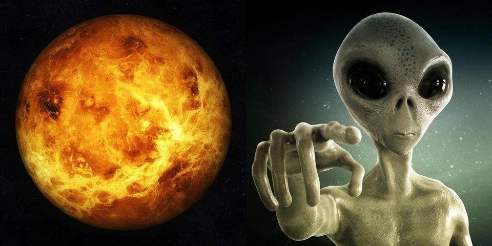如果金星上有外星生命，那他们能在酸雨云中存活890 / 作者:伤我心太深 / 帖子ID:29643