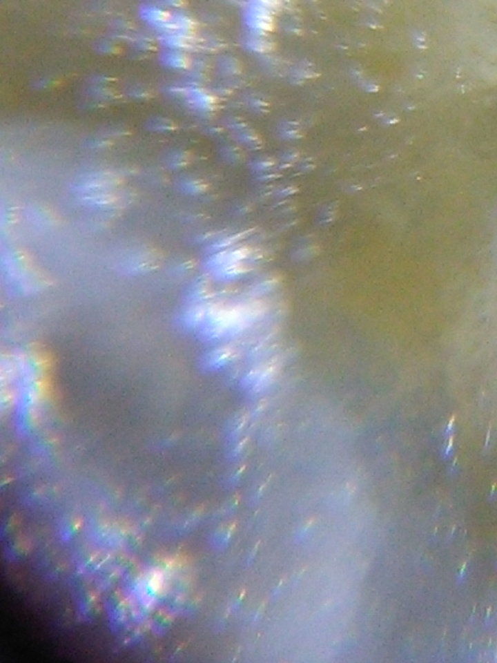 人类是外星人的先祖有影像证据804 / 作者:yuanxukun / 帖子ID:29649