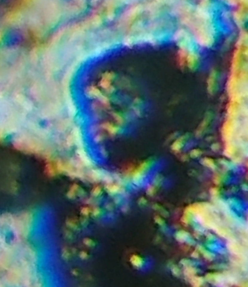 人类是外星人的先祖有影像证据798 / 作者:yuanxukun / 帖子ID:29649