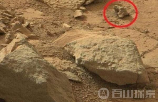 火星竟然存在史前动物 解开火星的秘密69 / 作者:wzkaizqle / 帖子ID:29742