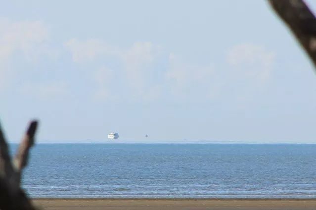 关于神秘的UFO：它的传说、科学和秘密研究897 / 作者:伤我心太深 / 帖子ID:29798