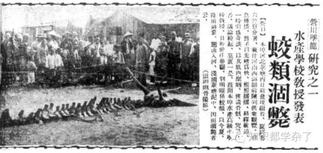 真龙现身事件是真的吗？龙对我国文化的影响569 / 作者:伤我心太深 / 帖子ID:29799