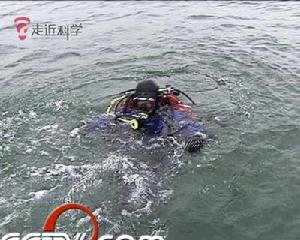 湛江湖光岩水怪之谜,中国真的有水怪吗162 / 作者:伤我心太深 / 帖子ID:29811