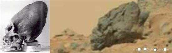 火星上发现史前动物化石，疑似是火星侏罗纪生物？162 / 作者:chromewww / 帖子ID:29839