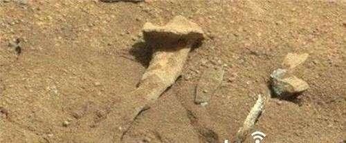火星上发现史前动物化石，疑似是火星侏罗纪生物？30 / 作者:chromewww / 帖子ID:29839