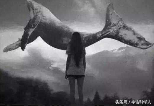 平行世界内存在一模一样的你，梦是感知另一个时空的你的唯一途径496 / 作者:mmswmxje / 帖子ID:29968