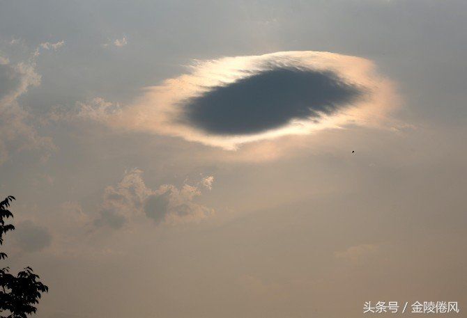 “不明飞行物”光临？南京天空昨日傍晚现“不明飞行物云”720 / 作者:gtzyh4ff / 帖子ID:30211