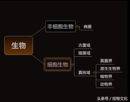 人类起源的大致过程是什么？123 / 作者:一杯咖啡 / 帖子ID:30689