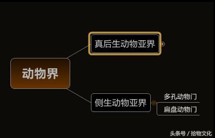 人类起源的大致过程是什么？483 / 作者:一杯咖啡 / 帖子ID:30689