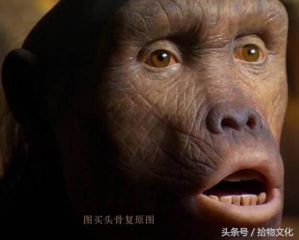 人类起源的大致过程是什么？569 / 作者:一杯咖啡 / 帖子ID:30689