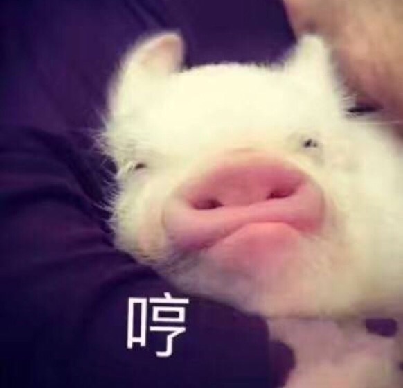 什么样的人才是真正的吃货？112 / 作者:dreamxyp@56.com / 帖子ID:30840