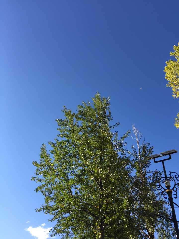 无意中看到照片右上角好像有个不明飞行物，请大神看看红圈里是个什么东西？27 / 作者:RakxwUSa / 帖子ID:30845