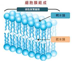 为什么生命起源一定要有水，不能存在一种外星文明是以液态乙醇什么的为生命之源的吗？389 / 作者:bWRBLSiC / 帖子ID:30997