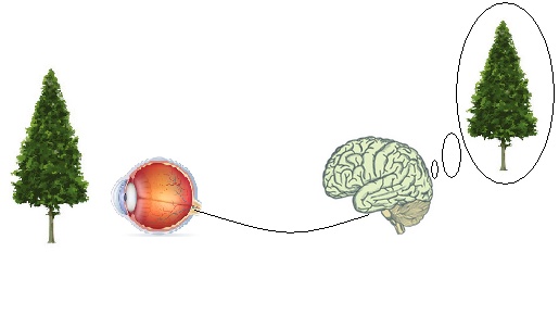人类是否生活在电脑模拟出来的宇宙之中？564 / 作者:`ivY) / 帖子ID:31058