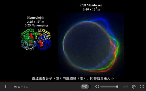 宇宙中最大的物体是什么？389 / 作者:风骨傲气 / 帖子ID:31067