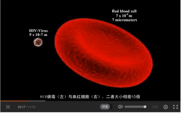 宇宙中最大的物体是什么？889 / 作者:风骨傲气 / 帖子ID:31067
