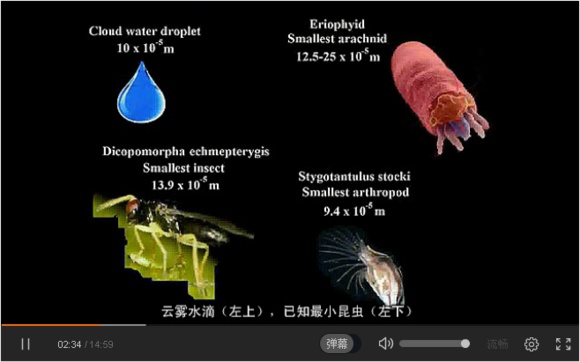 宇宙中最大的物体是什么？891 / 作者:风骨傲气 / 帖子ID:31067
