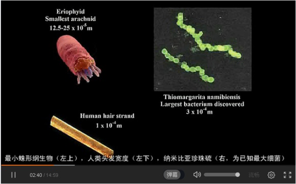 宇宙中最大的物体是什么？811 / 作者:风骨傲气 / 帖子ID:31067
