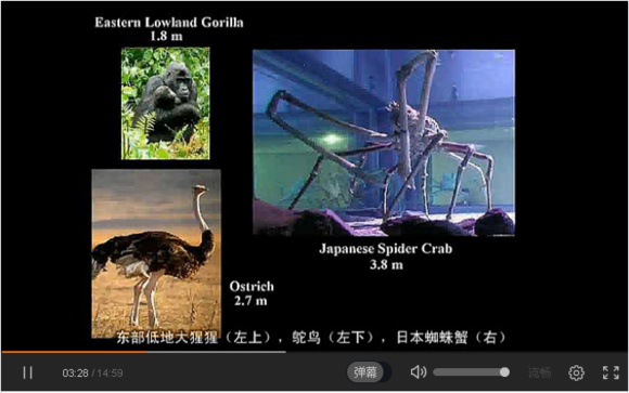 宇宙中最大的物体是什么？963 / 作者:风骨傲气 / 帖子ID:31067