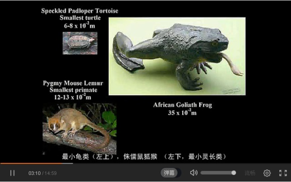 宇宙中最大的物体是什么？534 / 作者:风骨傲气 / 帖子ID:31067