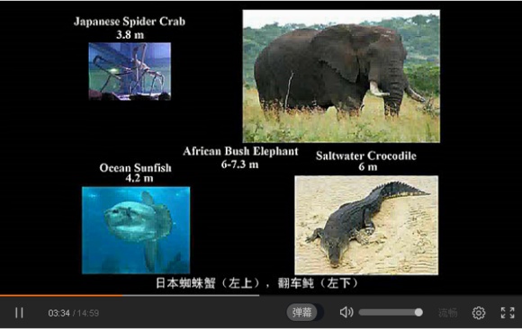 宇宙中最大的物体是什么？849 / 作者:风骨傲气 / 帖子ID:31067
