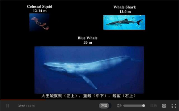 宇宙中最大的物体是什么？208 / 作者:风骨傲气 / 帖子ID:31067