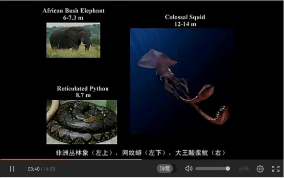 宇宙中最大的物体是什么？488 / 作者:风骨傲气 / 帖子ID:31067