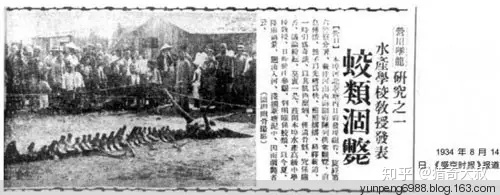 历史上惨遭封杀的神秘事件，胆小者慎入！574 / 作者:lcd7171 / 帖子ID:31089