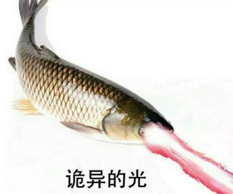 有哪些诡异神秘的照片？519 / 作者:yPfiXGyC / 帖子ID:31093