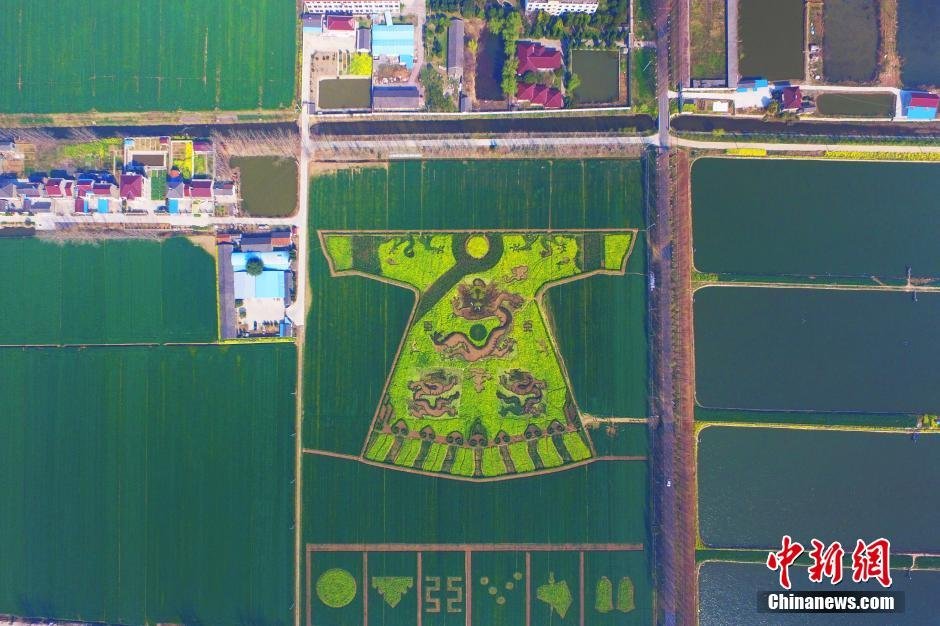 中国为什么没有麦田怪圈？341 / 作者:liciying / 帖子ID:31325