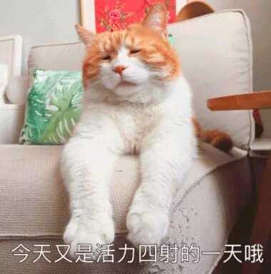 科幻电影中有哪些常识性或者科学性错误？284 / 作者:jackwen / 帖子ID:31332