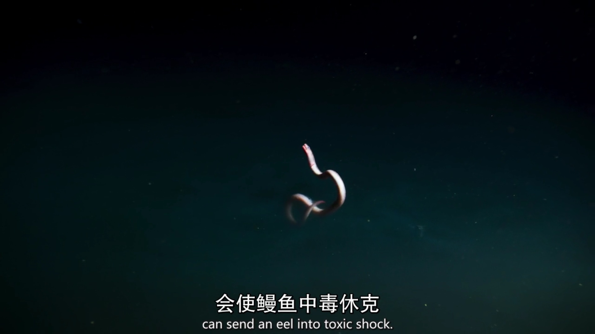 地球上有哪些超出常人想象的自然现象？579 / 作者:悦刈 / 帖子ID:31352