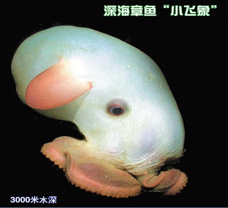地球上有哪些超出常人想象的自然现象？973 / 作者:dzlqsq / 帖子ID:31352