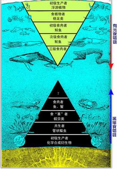 地球上有哪些超出常人想象的自然现象？93 / 作者:dzlqsq / 帖子ID:31352