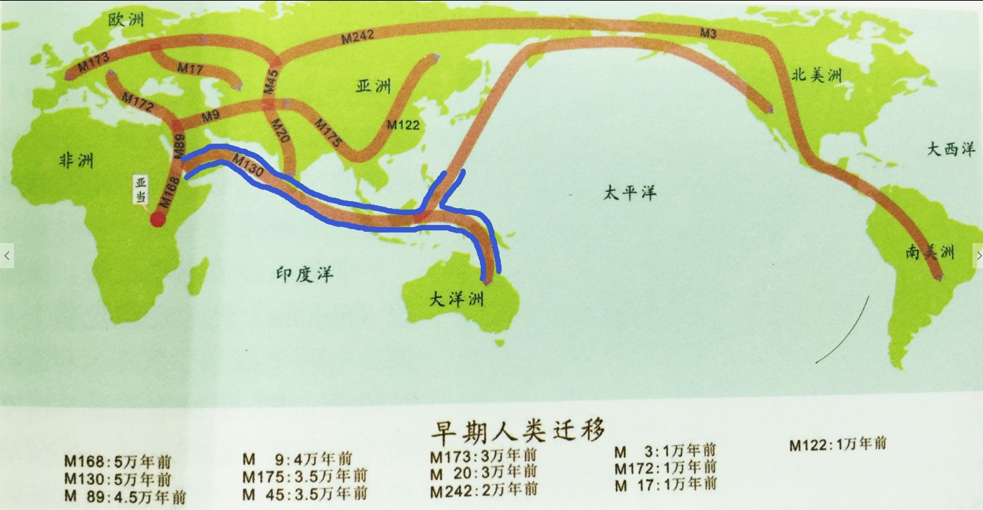 人类都起源自非洲吗？626 / 作者:m1717 / 帖子ID:31403
