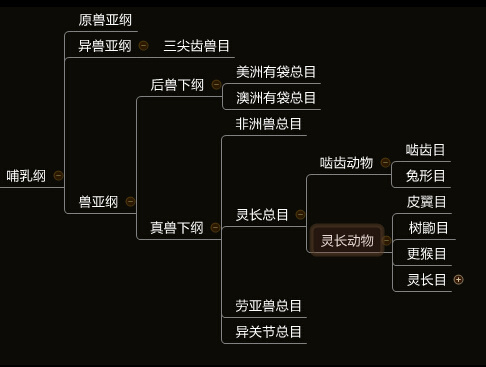 人类起源的大致过程是什么？17 / 作者:小詠。 / 帖子ID:31405