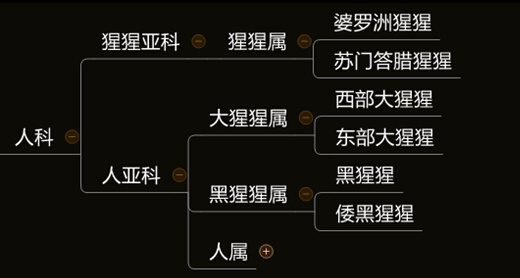 人类起源的大致过程是什么？244 / 作者:小詠。 / 帖子ID:31405
