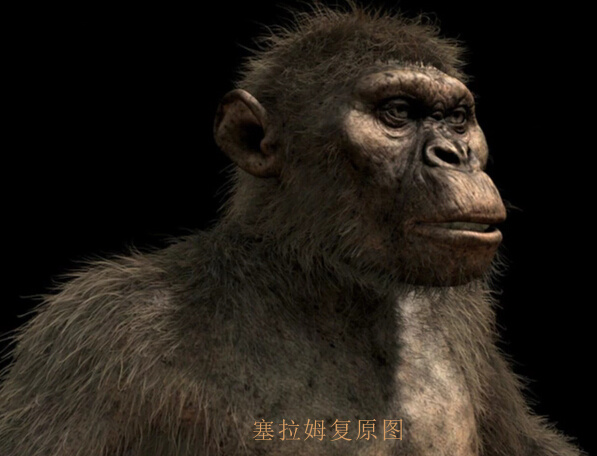人类起源的大致过程是什么？368 / 作者:小詠。 / 帖子ID:31405