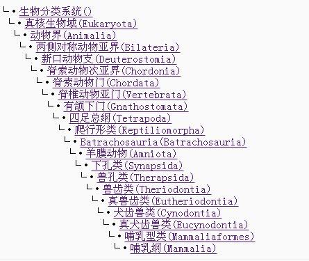 人类起源的大致过程是什么？728 / 作者:q30213313 / 帖子ID:31405