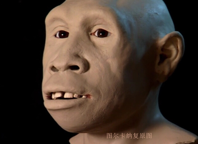 人类起源的大致过程是什么？978 / 作者:小詠。 / 帖子ID:31405